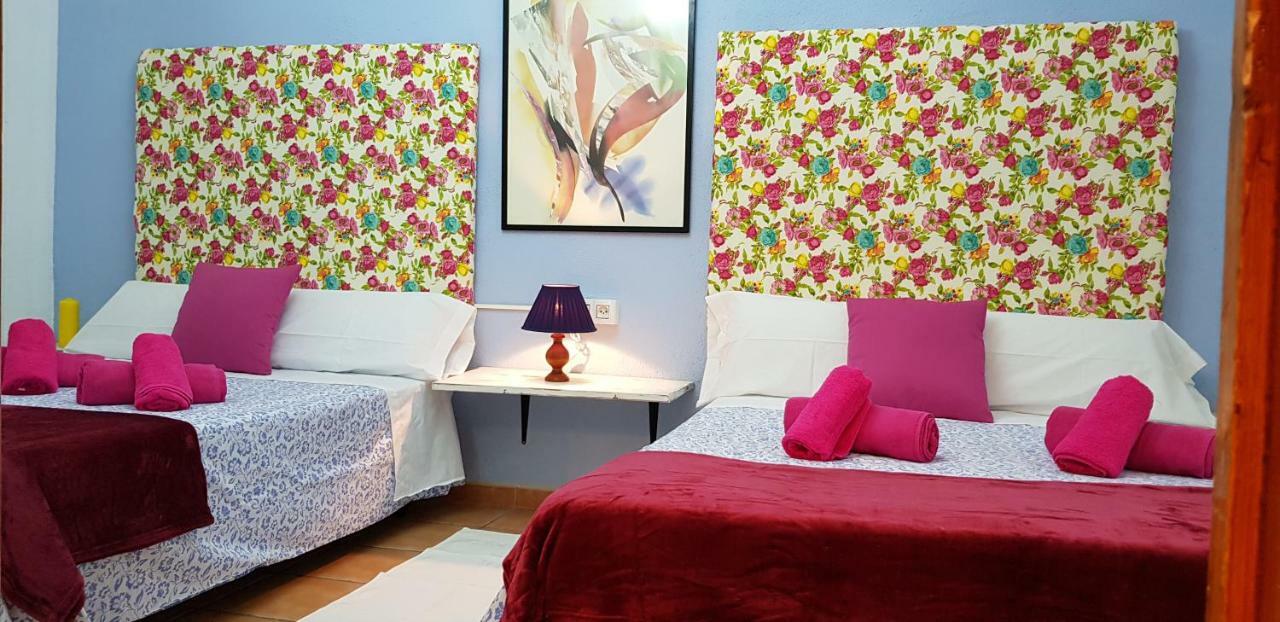 Calle Frailes, 7 Apartamento 2 格拉纳达 外观 照片